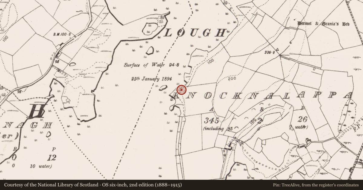 Ordnance Survey six-inch map, 2nd edition (1888–1915) covering the location of Enclosure, Knocknalappa, County Clare, with a pin at the register's coordinates