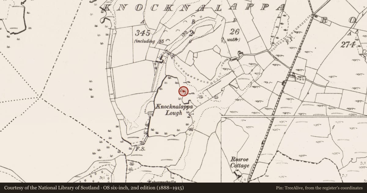 Ordnance Survey six-inch map, 2nd edition (1888–1915) covering the location of Fulacht fia, Knocknalappa, County Clare, with a pin at the register's coordinates