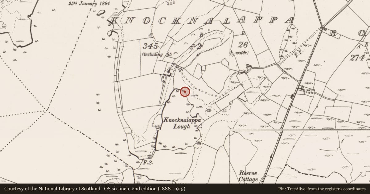 Ordnance Survey six-inch map, 2nd edition (1888–1915) covering the location of Fulacht fia, Knocknalappa, County Clare, with a pin at the register's coordinates