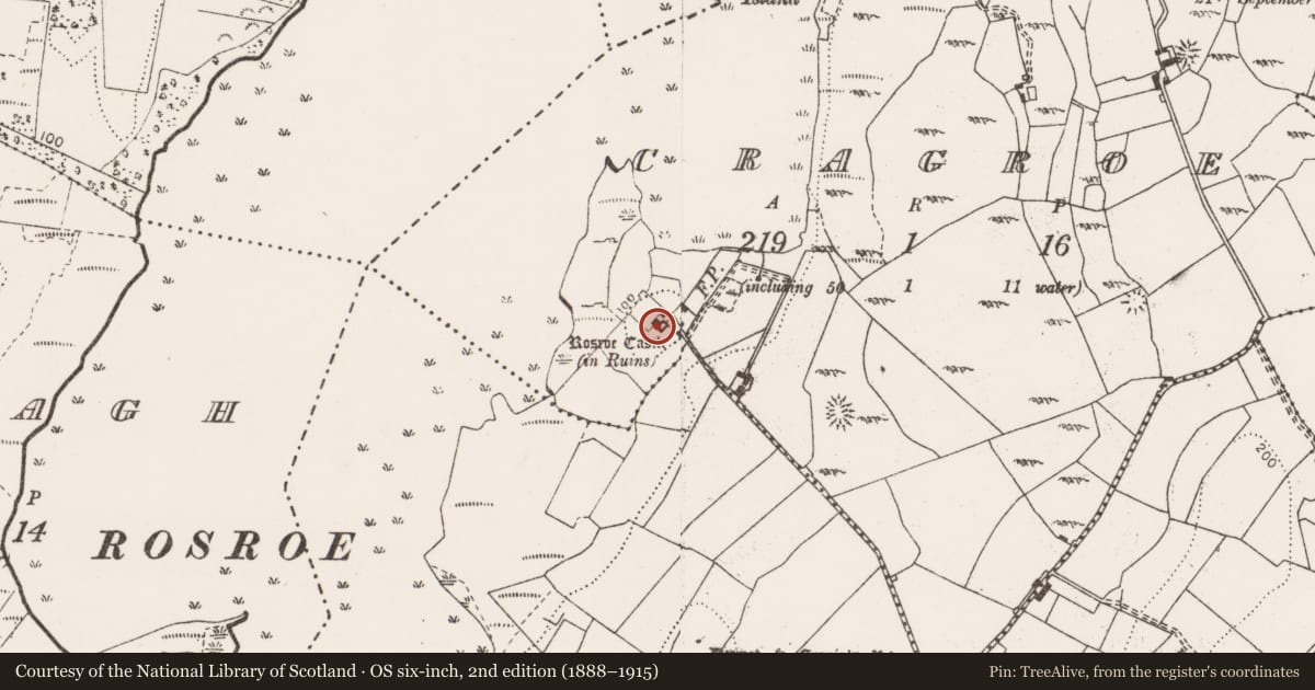 Ordnance Survey six-inch map, 2nd edition (1888–1915) covering the location of Castle - tower house, Cragroe, County Clare, with a pin at the register's coordinates