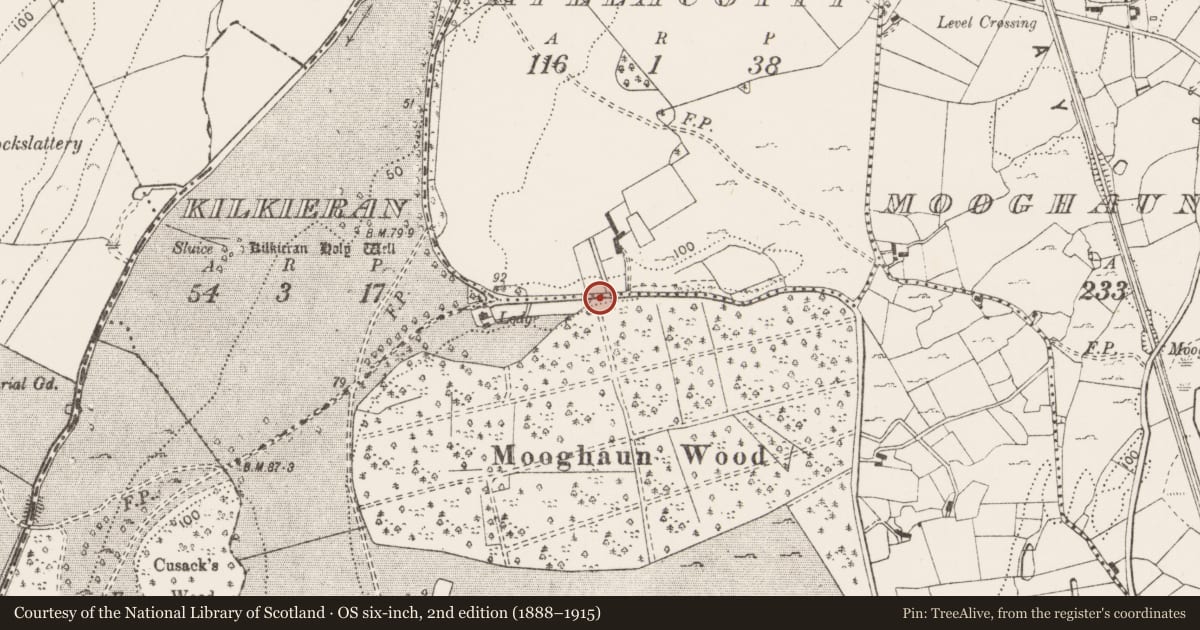 Ordnance Survey six-inch map, 2nd edition (1888–1915) covering the location of Quarry, Mooghaun South, County Clare, with a pin at the register's coordinates