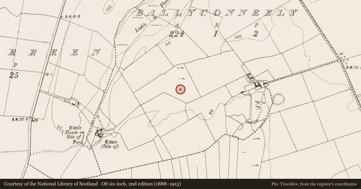 Ordnance Survey six-inch map, 2nd edition (1888–1915) covering the location of Field system, Ballyconneely, County Clare, with a pin at the register's coordinates