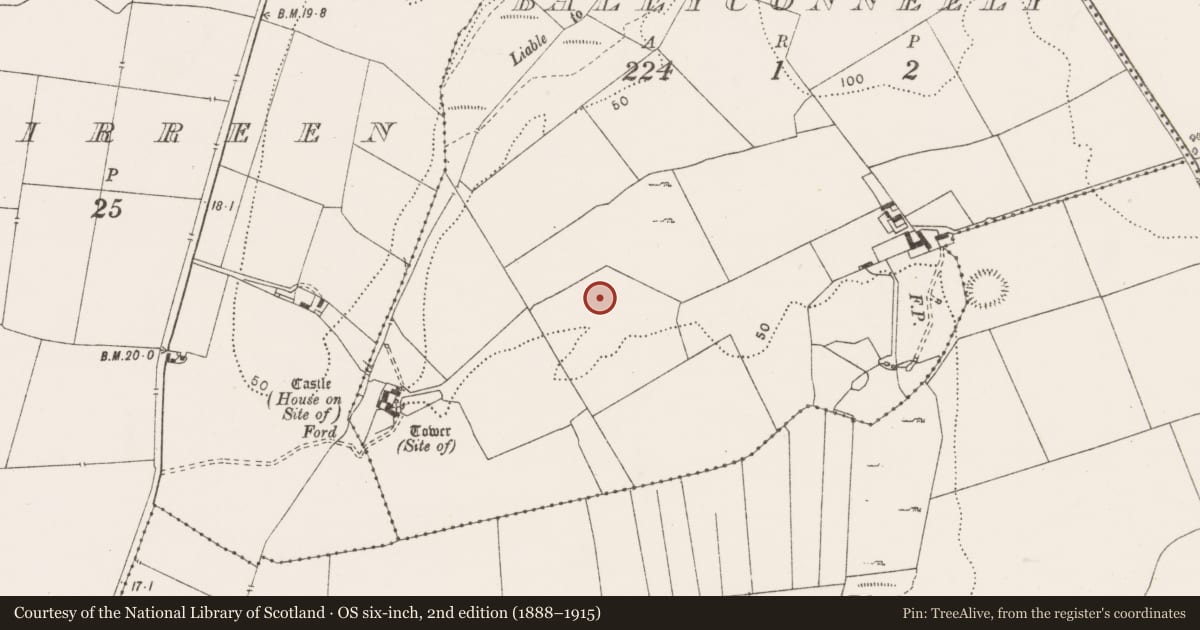 Ordnance Survey six-inch map, 2nd edition (1888–1915) covering the location of Field system, Ballyconneely, County Clare, with a pin at the register's coordinates