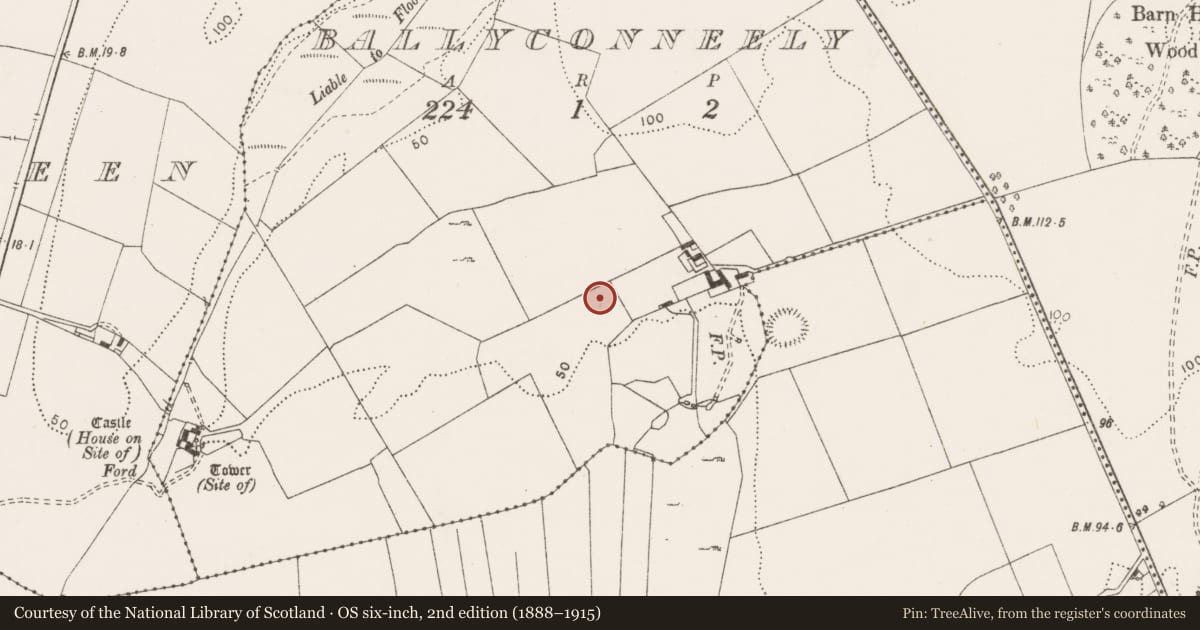 Ordnance Survey six-inch map, 2nd edition (1888–1915) covering the location of Flat cemetery, Ballyconneely, County Clare, with a pin at the register's coordinates