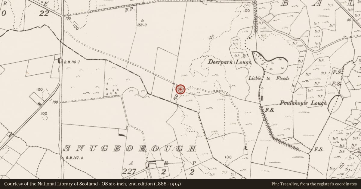 Ordnance Survey six-inch map, 2nd edition (1888–1915) covering the location of Enclosure, Ballykilty, County Clare, with a pin at the register's coordinates