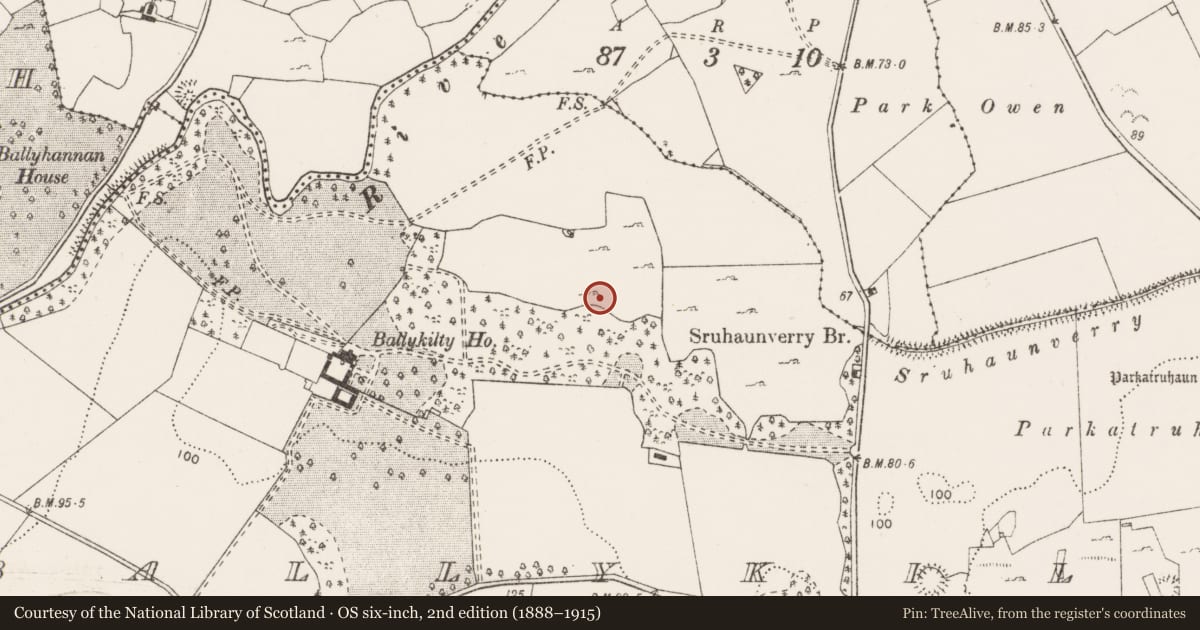 Ordnance Survey six-inch map, 2nd edition (1888–1915) covering the location of Enclosure, Ballykilty, County Clare, with a pin at the register's coordinates