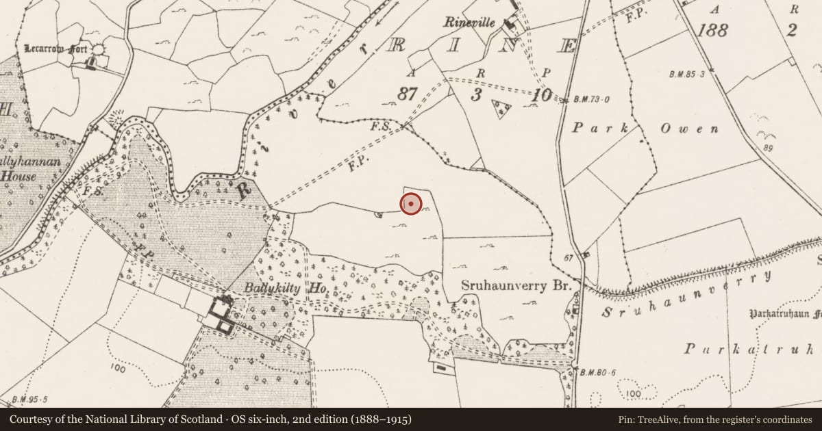 Ordnance Survey six-inch map, 2nd edition (1888–1915) covering the location of Standing stone, Ballykilty, County Clare, with a pin at the register's coordinates