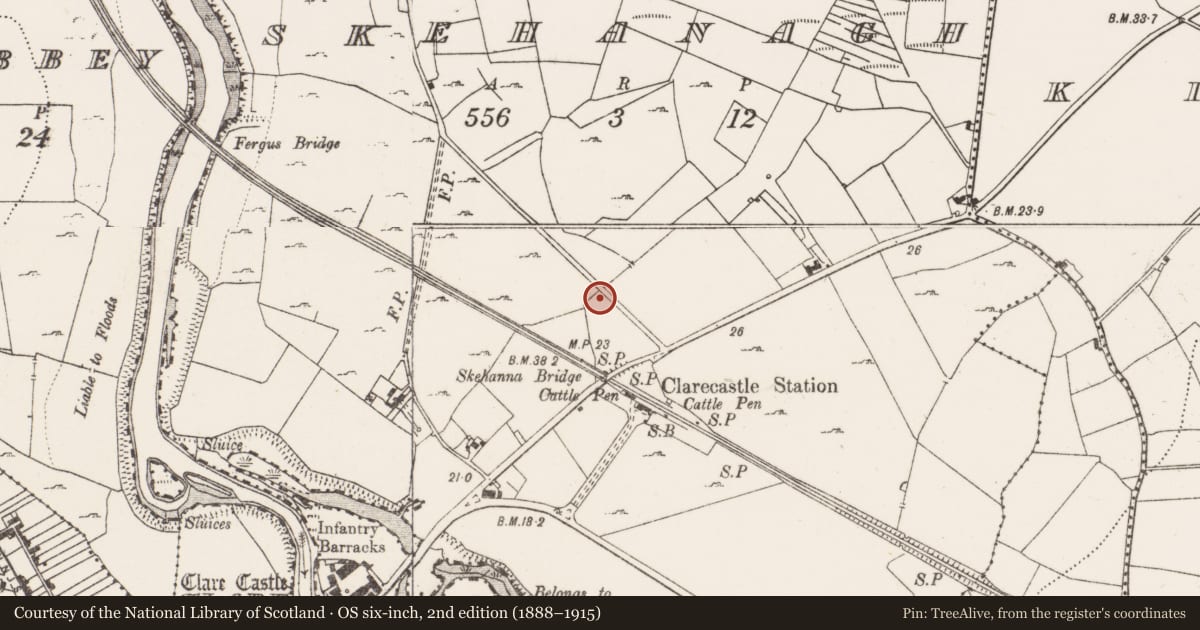 Ordnance Survey six-inch map, 2nd edition (1888–1915) covering the location of Fulacht fia, Skehanagh, County Clare, with a pin at the register's coordinates