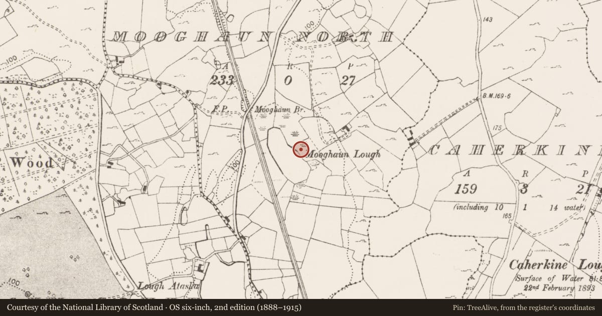 Ordnance Survey six-inch map, 2nd edition (1888–1915) covering the location of Fulacht fia, Mooghaun North, County Clare, with a pin at the register's coordinates