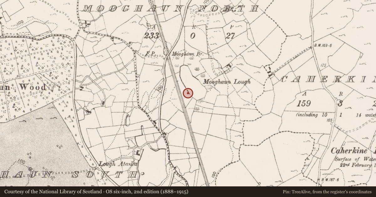Ordnance Survey six-inch map, 2nd edition (1888–1915) covering the location of Fulacht fia, Mooghaun North, County Clare, with a pin at the register's coordinates