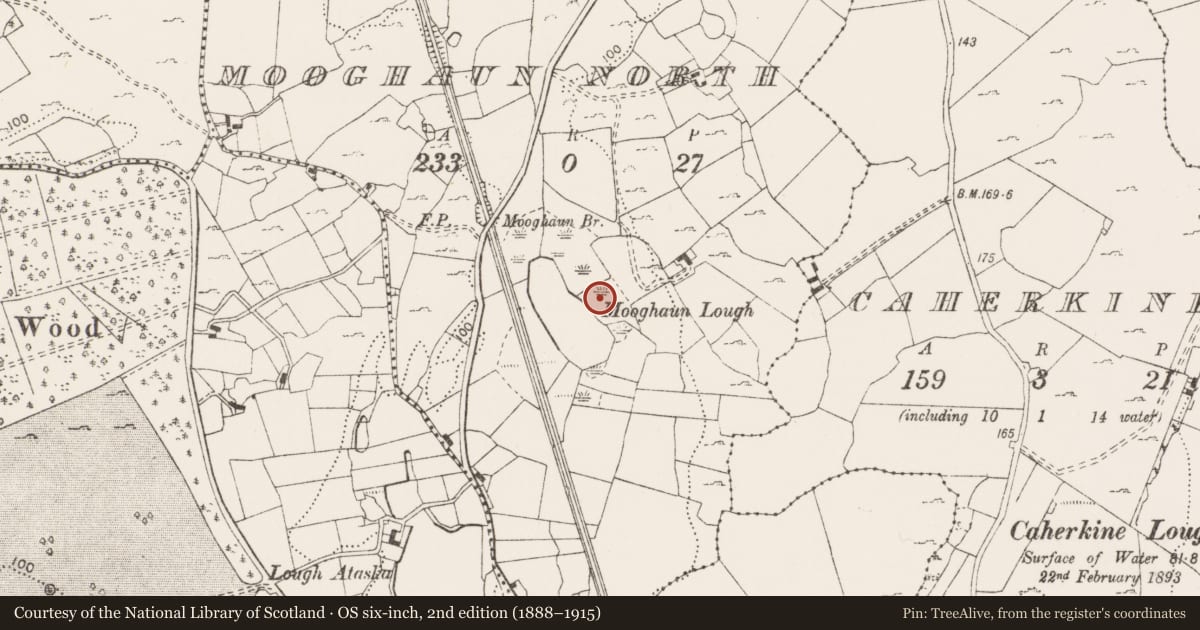 Ordnance Survey six-inch map, 2nd edition (1888–1915) covering the location of Fulacht fia, Mooghaun North, County Clare, with a pin at the register's coordinates