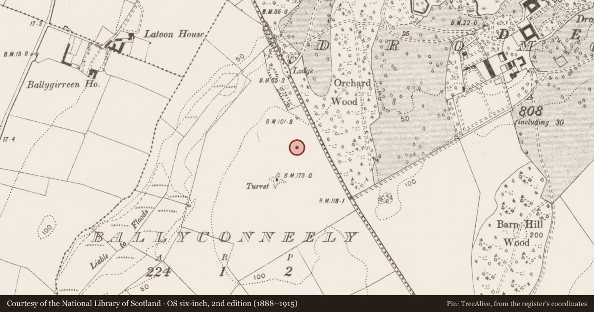 Ordnance Survey six-inch map, 2nd edition (1888–1915) covering the location of Enclosure, Ballyconneely, County Clare, with a pin at the register's coordinates