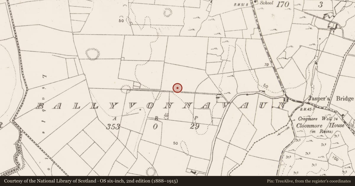 Ordnance Survey six-inch map, 2nd edition (1888–1915) covering the location of Hut site, Ballyvonnavaun, County Clare, with a pin at the register's coordinates