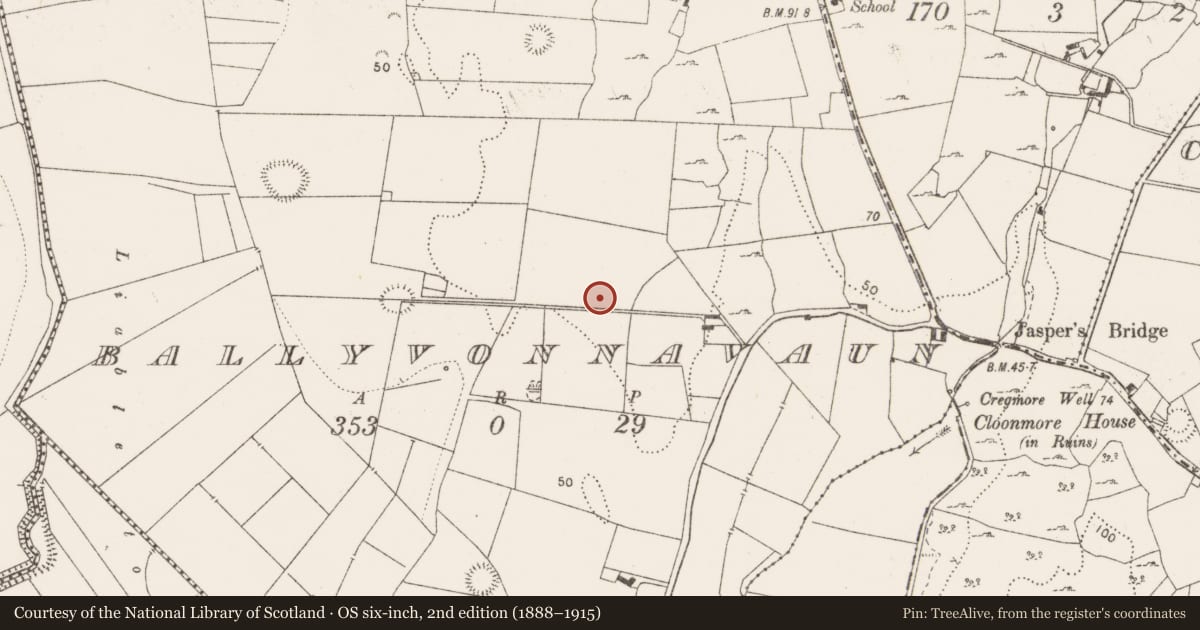 Ordnance Survey six-inch map, 2nd edition (1888–1915) covering the location of Hut site, Ballyvonnavaun, County Clare, with a pin at the register's coordinates