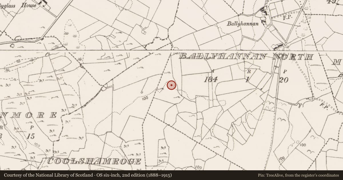 Ordnance Survey six-inch map, 2nd edition (1888–1915) covering the location of Enclosure, Ballyhannan North, County Clare, with a pin at the register's coordinates