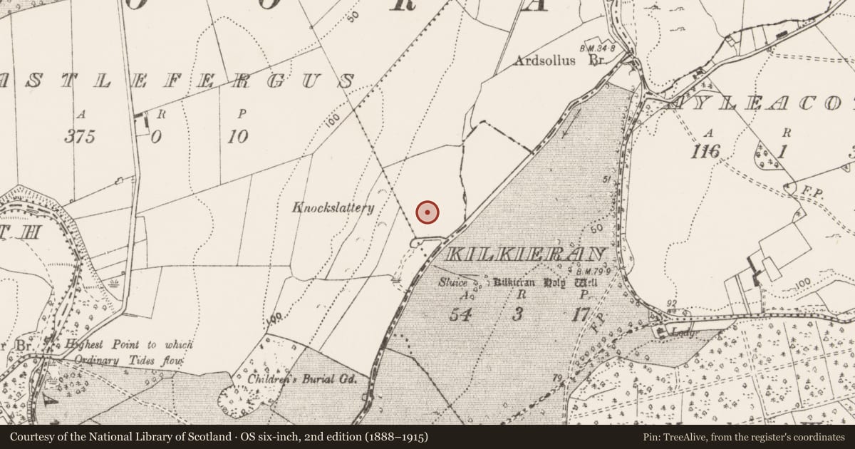 Ordnance Survey six-inch map, 2nd edition (1888–1915) covering the location of Standing stone, Ardsollus, County Clare, with a pin at the register's coordinates