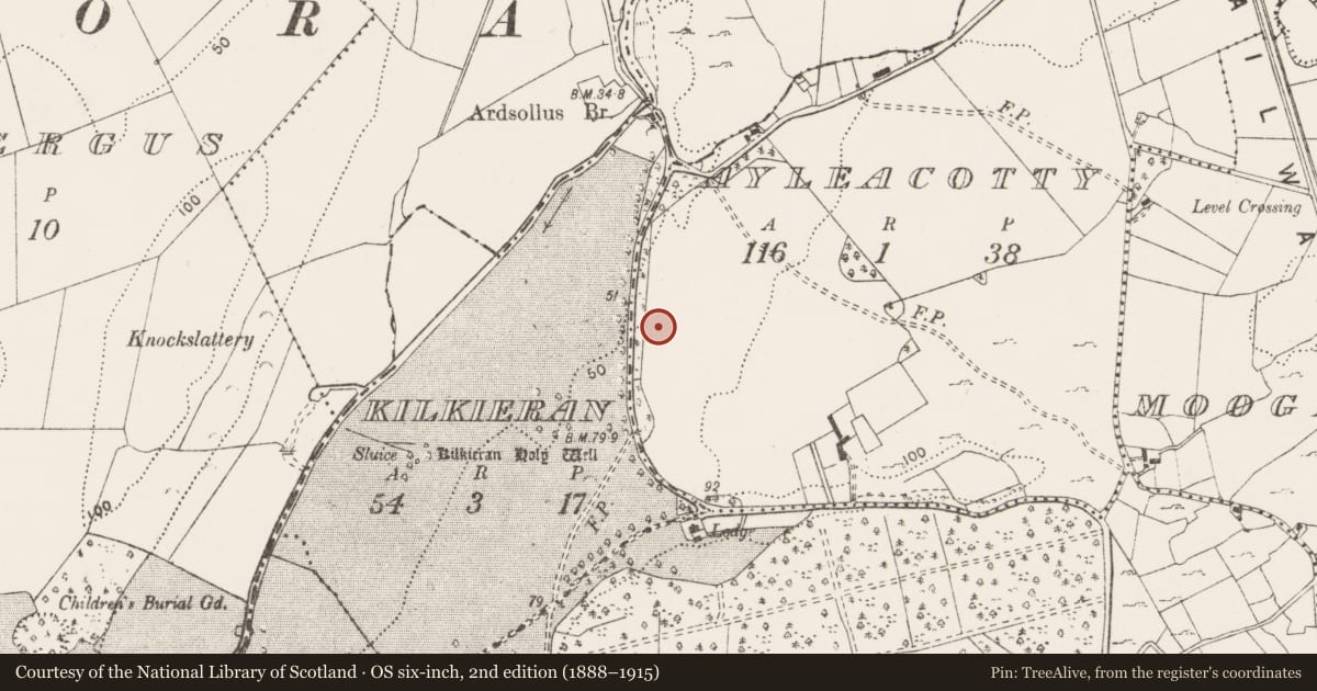 Ordnance Survey six-inch map, 2nd edition (1888–1915) covering the location of Enclosure, Ayleacotty, County Clare, with a pin at the register's coordinates
