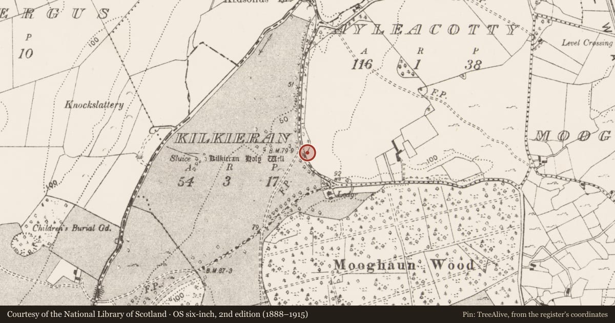 Ordnance Survey six-inch map, 2nd edition (1888–1915) covering the location of Standing stone, Ayleacotty, County Clare, with a pin at the register's coordinates