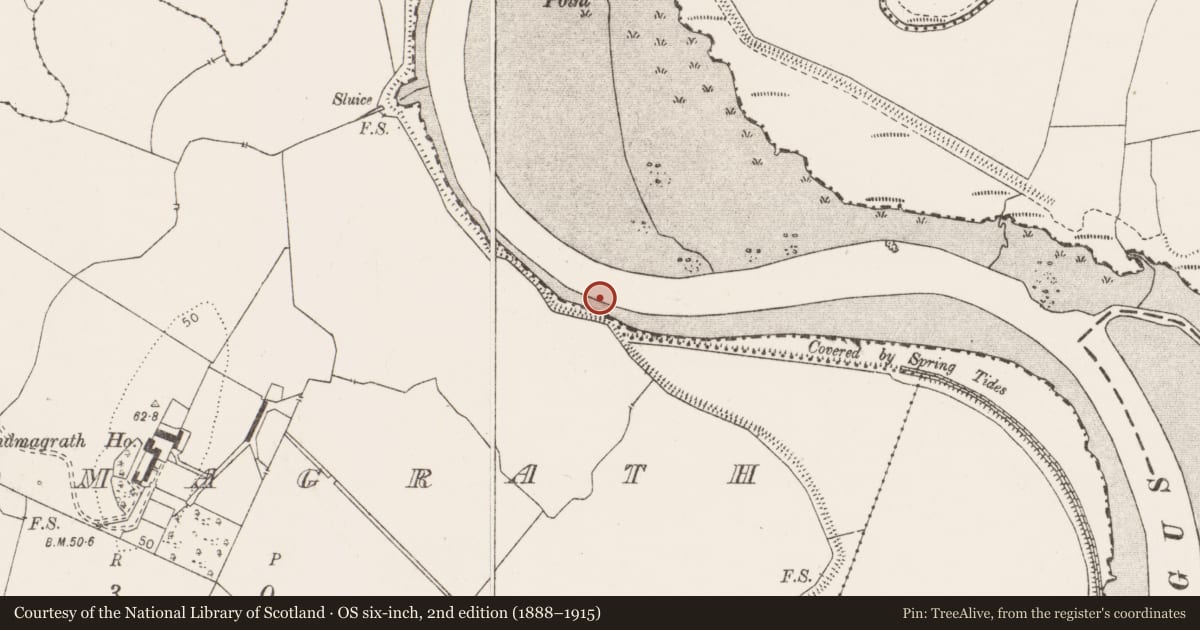 Ordnance Survey six-inch map, 2nd edition (1888–1915) covering the location of Road - road/trackway, Islandmagrath, River Fergus, County Clare, with a pin at the register's coordinates