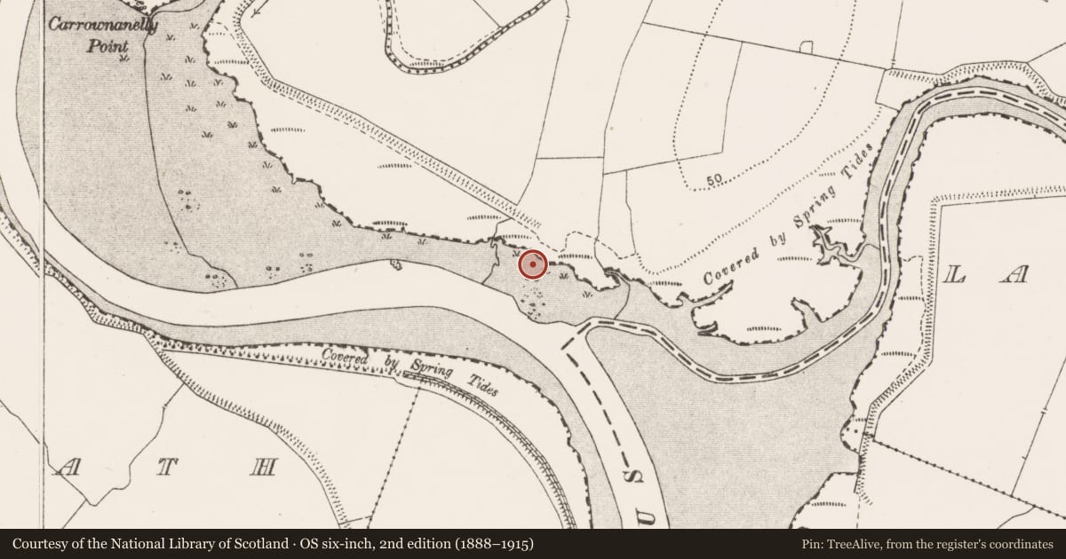 Ordnance Survey six-inch map, 2nd edition (1888–1915) covering the location of Pier/Jetty, Manusmore, River Fergus, County Clare, with a pin at the register's coordinates