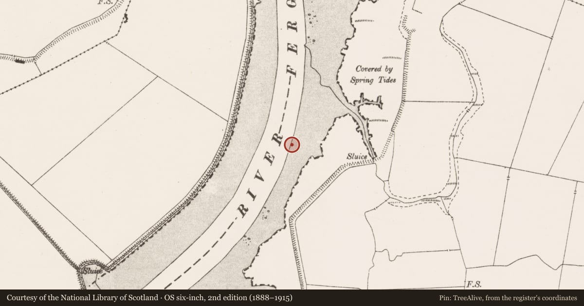 Ordnance Survey six-inch map, 2nd edition (1888–1915) covering the location of Weir - fish, Ballygirreen, River Fergus, County Clare, with a pin at the register's coordinates
