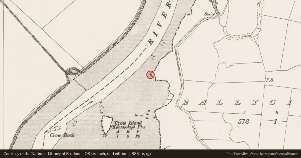 Ordnance Survey six-inch map, 2nd edition (1888–1915) covering the location of Post row - peatland, Ballygirreen, River Fergus, County Clare, with a pin at the register's coordinates