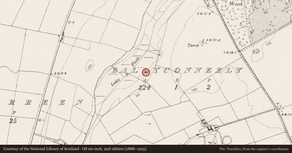 Ordnance Survey six-inch map, 2nd edition (1888–1915) covering the location of Fulacht fia, Ballyconneely, County Clare, with a pin at the register's coordinates