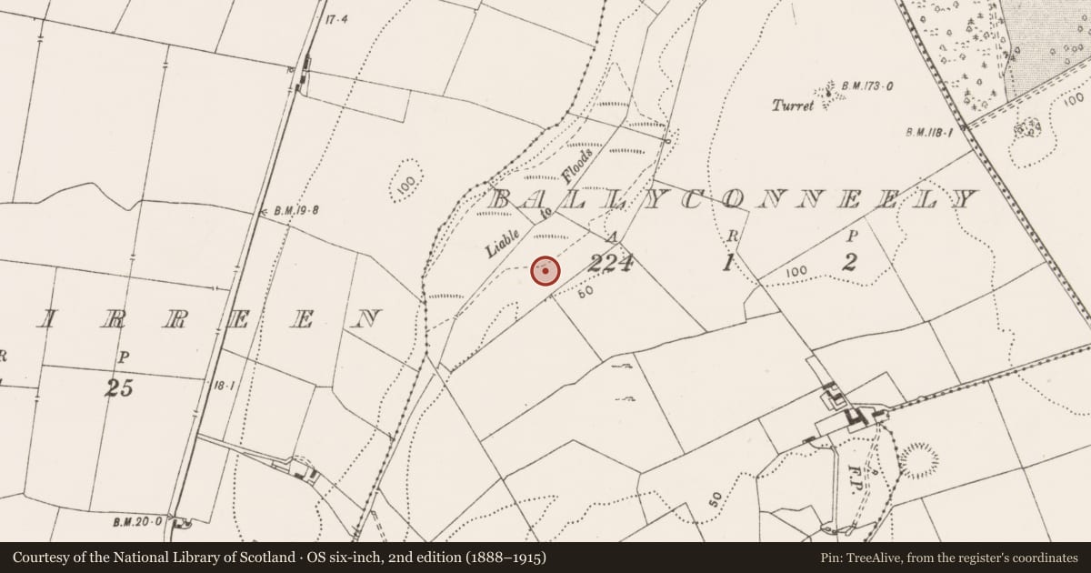 Ordnance Survey six-inch map, 2nd edition (1888–1915) covering the location of Fulacht fia, Ballyconneely, County Clare, with a pin at the register's coordinates