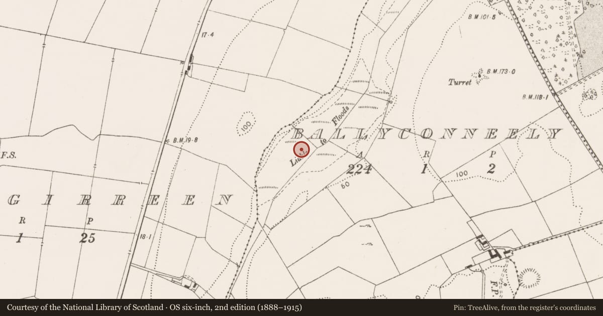 Ordnance Survey six-inch map, 2nd edition (1888–1915) covering the location of Fulacht fia, Ballyconneely, County Clare, with a pin at the register's coordinates