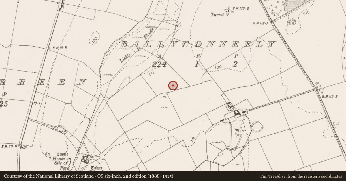 Ordnance Survey six-inch map, 2nd edition (1888–1915) covering the location of Standing stone, Ballyconneely, County Clare, with a pin at the register's coordinates