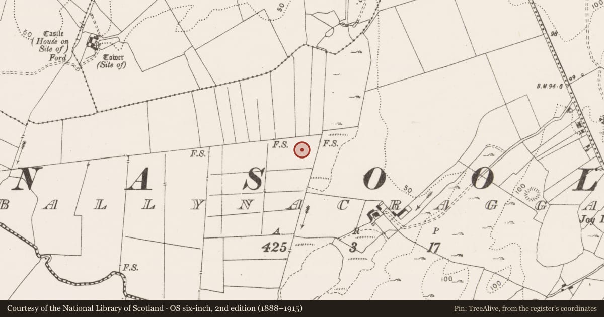 Ordnance Survey six-inch map, 2nd edition (1888–1915) covering the location of Enclosure, Ballynacragga, County Clare, with a pin at the register's coordinates