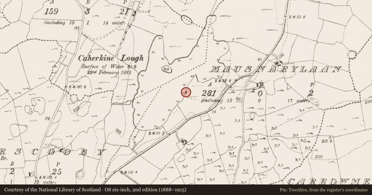 Ordnance Survey six-inch map, 2nd edition (1888–1915) covering the location of Fulacht fia, Mausnarylaan, County Clare, with a pin at the register's coordinates