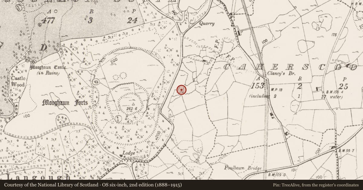 Ordnance Survey six-inch map, 2nd edition (1888–1915) covering the location of Kiln - lime, Mooghaun South, County Clare, with a pin at the register's coordinates