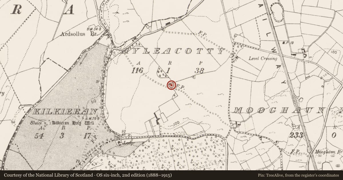 Ordnance Survey six-inch map, 2nd edition (1888–1915) covering the location of Cairn - unclassified, Ayleacotty, County Clare, with a pin at the register's coordinates