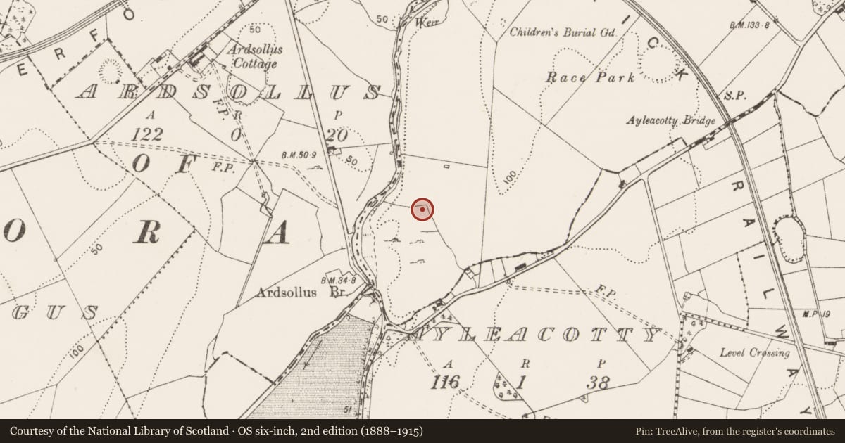 Ordnance Survey six-inch map, 2nd edition (1888–1915) covering the location of Enclosure, Ballykilty, County Clare, with a pin at the register's coordinates