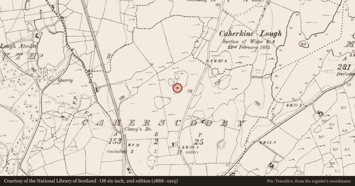 Ordnance Survey six-inch map, 2nd edition (1888–1915) covering the location of Field system, Caherscooby, County Clare, with a pin at the register's coordinates