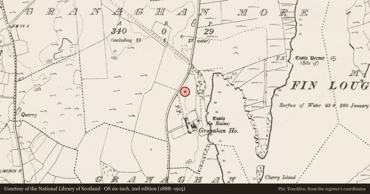 Ordnance Survey six-inch map, 2nd edition (1888–1915) covering the location of Standing stone, Granaghan More, County Clare, with a pin at the register's coordinates
