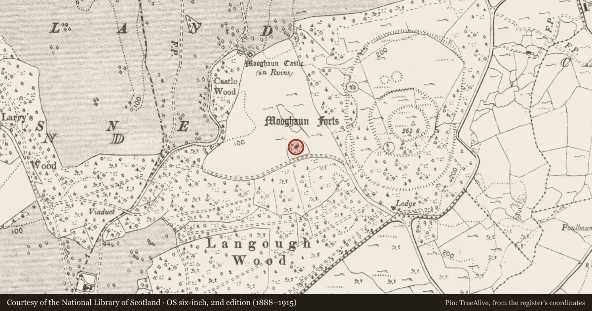 Ordnance Survey six-inch map, 2nd edition (1888–1915) covering the location of Enclosure, Mooghaun South, County Clare, with a pin at the register's coordinates