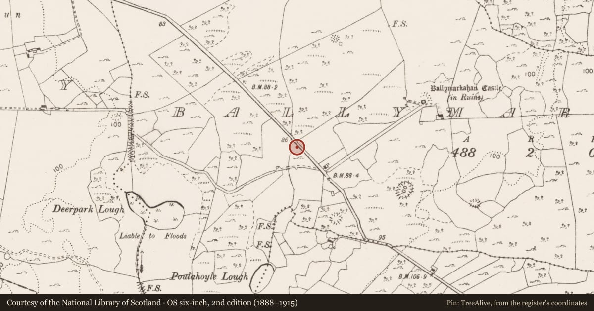 Ordnance Survey six-inch map, 2nd edition (1888–1915) covering the location of Fulacht fia, Ballymarkahan, County Clare, with a pin at the register's coordinates