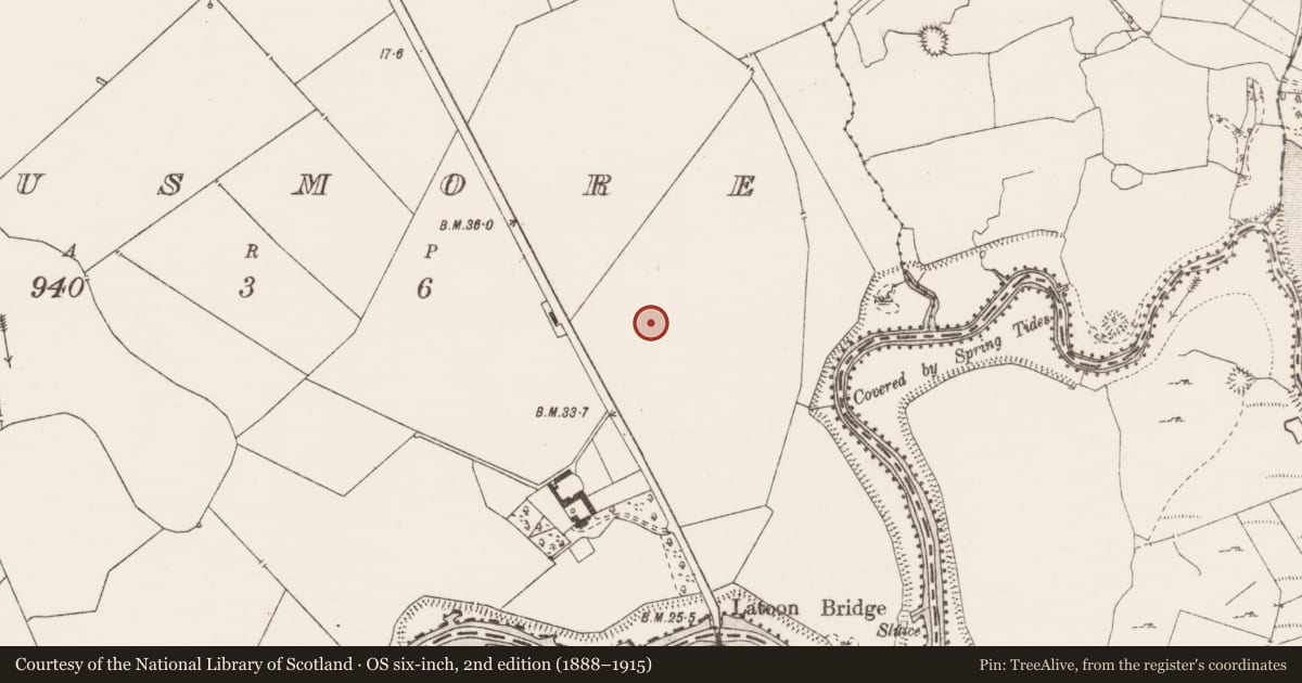 Ordnance Survey six-inch map, 2nd edition (1888–1915) covering the location of Flat cemetery, Manusmore, County Clare, with a pin at the register's coordinates