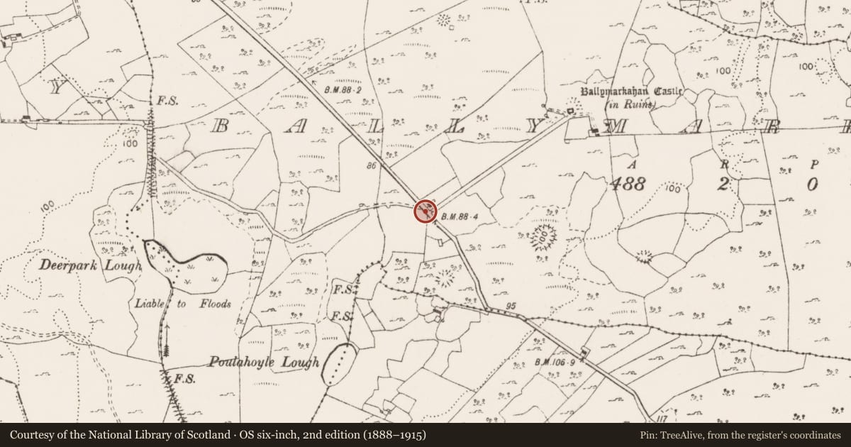 Ordnance Survey six-inch map, 2nd edition (1888–1915) covering the location of Standing stone, Ballymarkahan, County Clare, with a pin at the register's coordinates