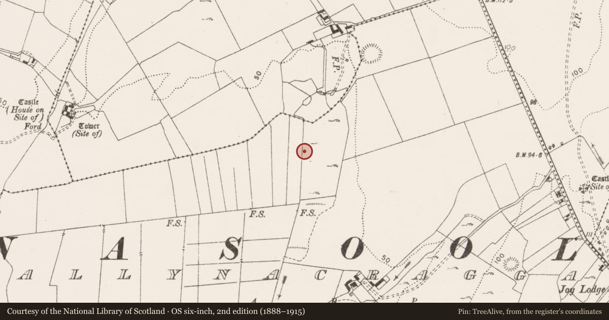 Ordnance Survey six-inch map, 2nd edition (1888–1915) covering the location of Burnt mound, Ballynacragga, County Clare, with a pin at the register's coordinates