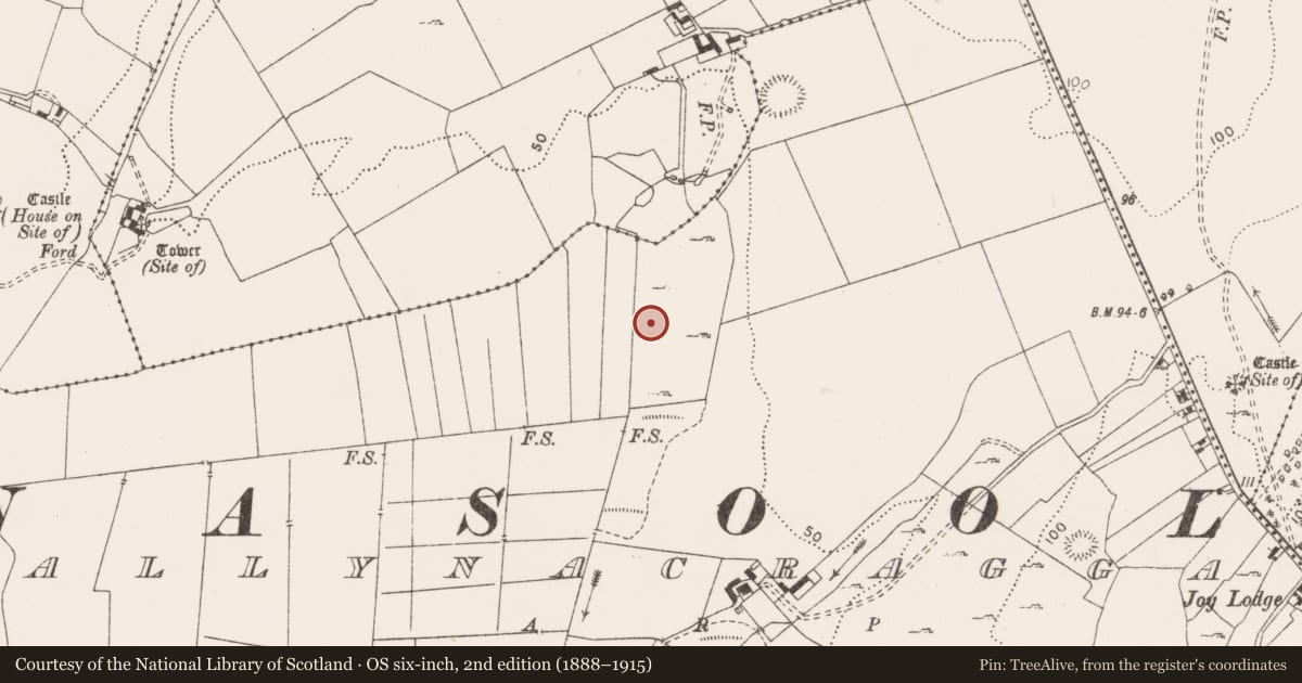 Ordnance Survey six-inch map, 2nd edition (1888–1915) covering the location of Field system, Ballynacragga, County Clare, with a pin at the register's coordinates