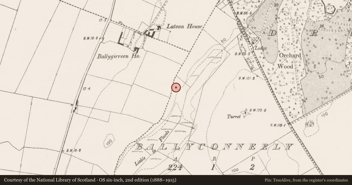 Ordnance Survey six-inch map, 2nd edition (1888–1915) covering the location of Excavation - miscellaneous, Ballyconneely, County Clare, with a pin at the register's coordinates