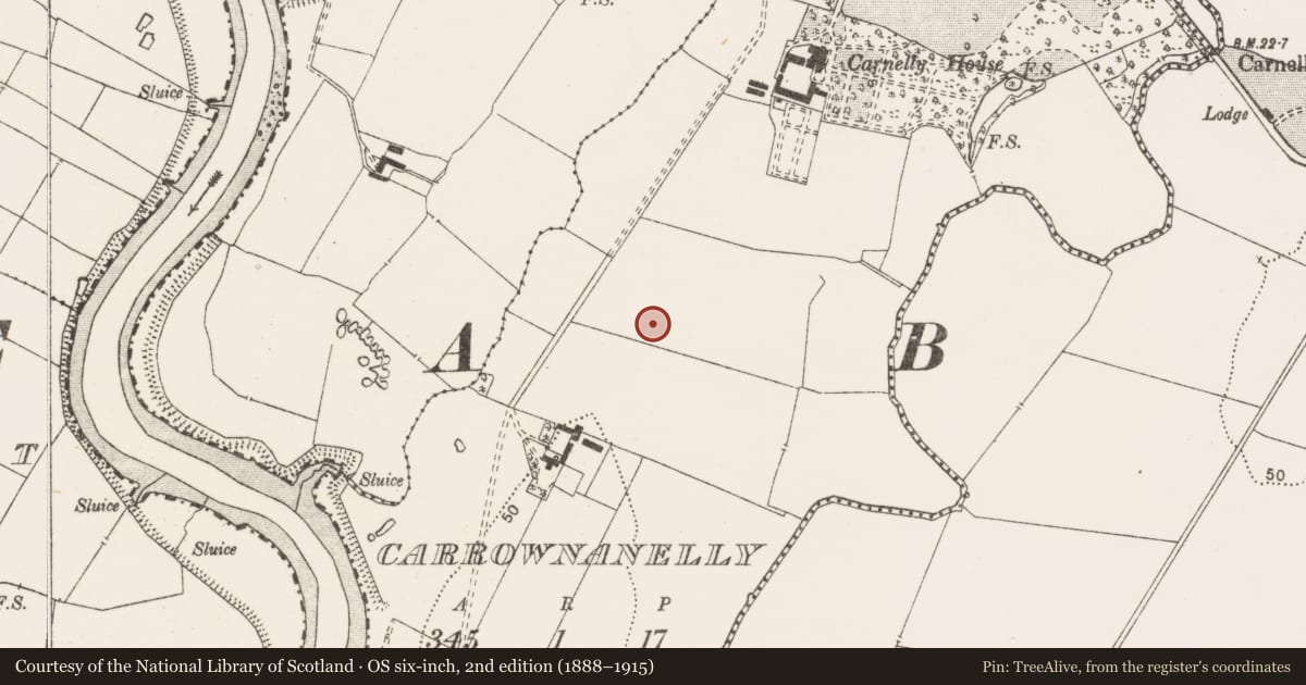 Ordnance Survey six-inch map, 2nd edition (1888–1915) covering the location of Excavation - miscellaneous, Carrownanelly, County Clare, with a pin at the register's coordinates
