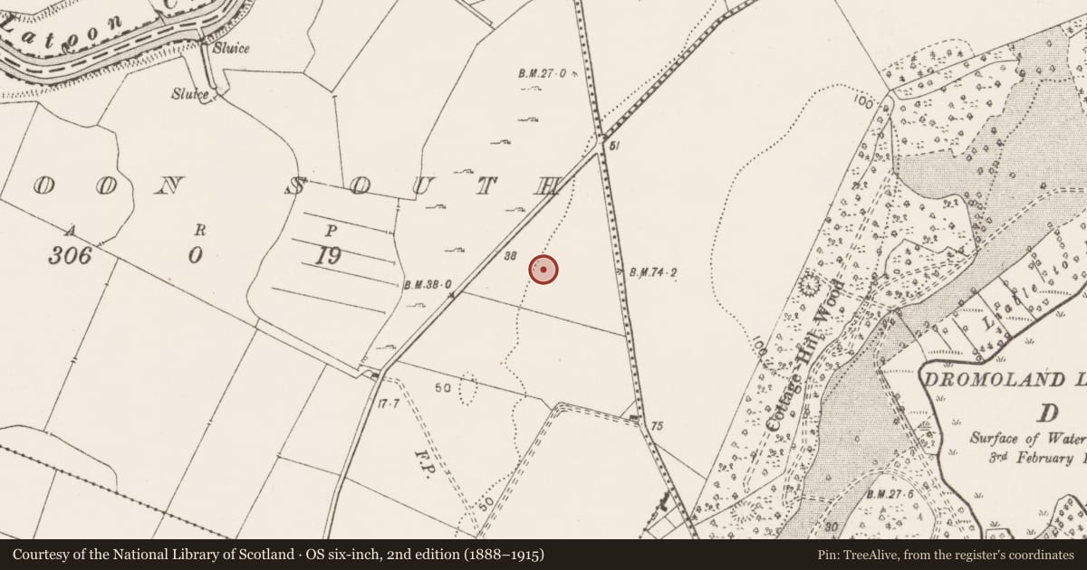 Ordnance Survey six-inch map, 2nd edition (1888–1915) covering the location of Pit-burial, Latoon South, County Clare, with a pin at the register's coordinates