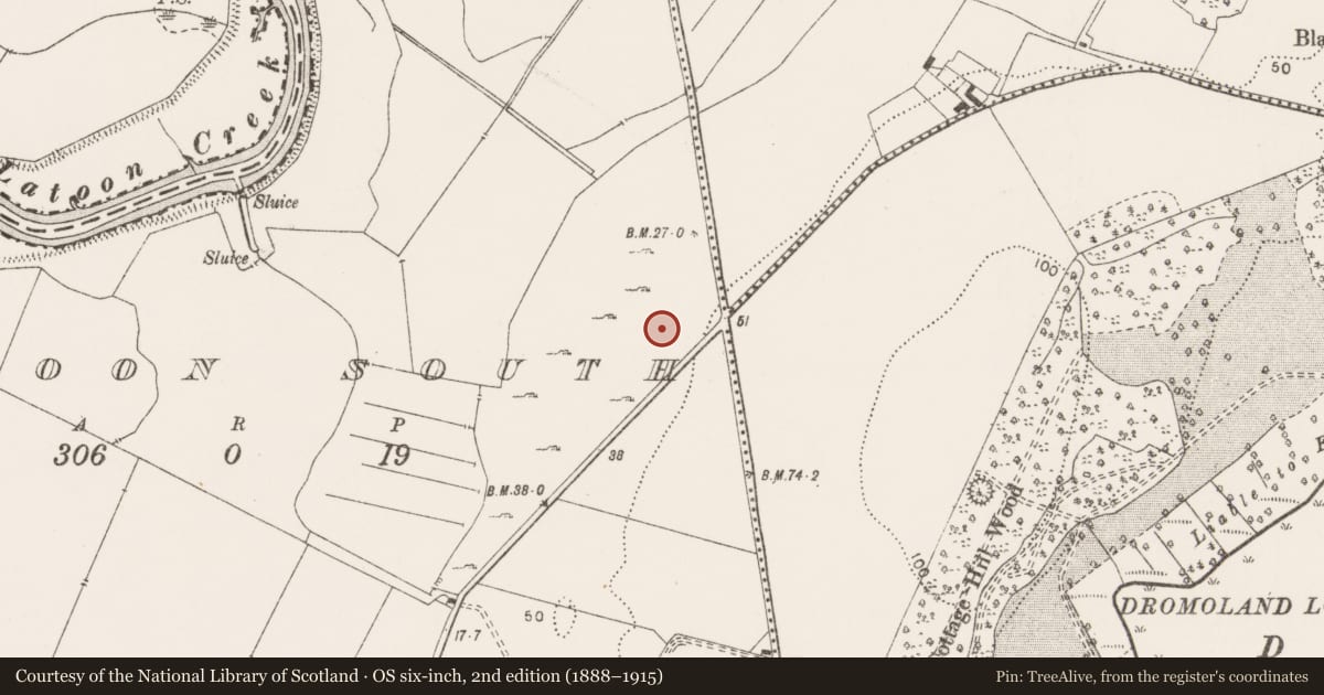 Ordnance Survey six-inch map, 2nd edition (1888–1915) covering the location of Excavation - miscellaneous, Latoon South, County Clare, with a pin at the register's coordinates