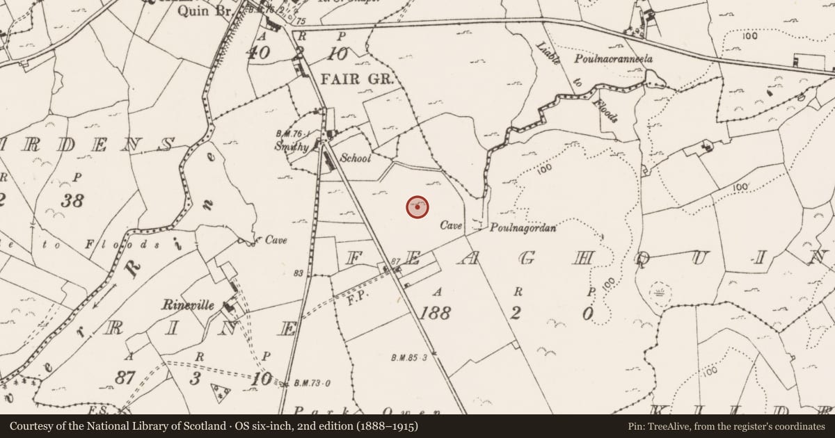 Ordnance Survey six-inch map, 2nd edition (1888–1915) covering the location of Field system, Feaghquin, County Clare, with a pin at the register's coordinates