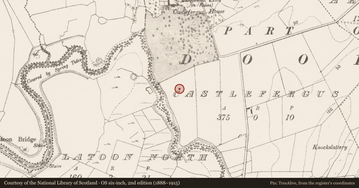 Ordnance Survey six-inch map, 2nd edition (1888–1915) covering the location of Enclosure, Castlefergus, County Clare, with a pin at the register's coordinates