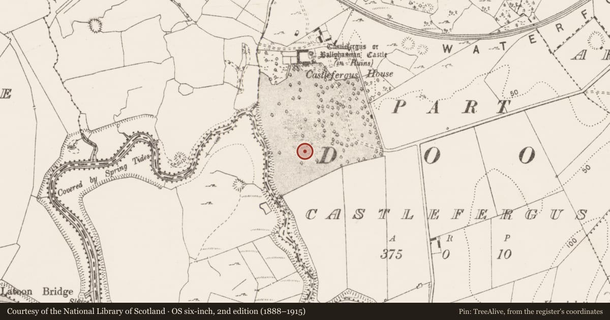 Ordnance Survey six-inch map, 2nd edition (1888–1915) covering the location of Enclosure, Castlefergus, County Clare, with a pin at the register's coordinates